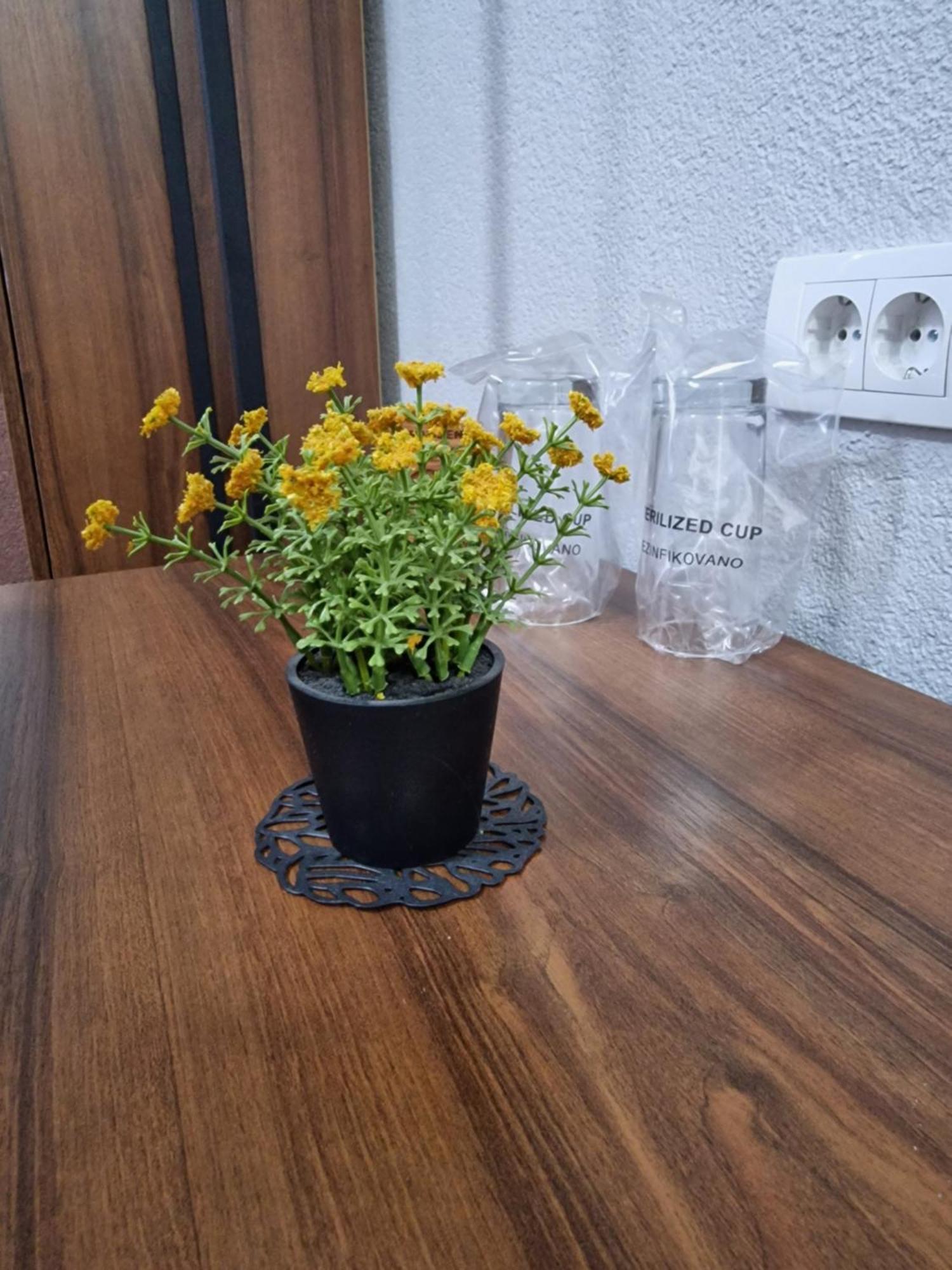 Hotel Djerdan Kraljevo Luaran gambar
